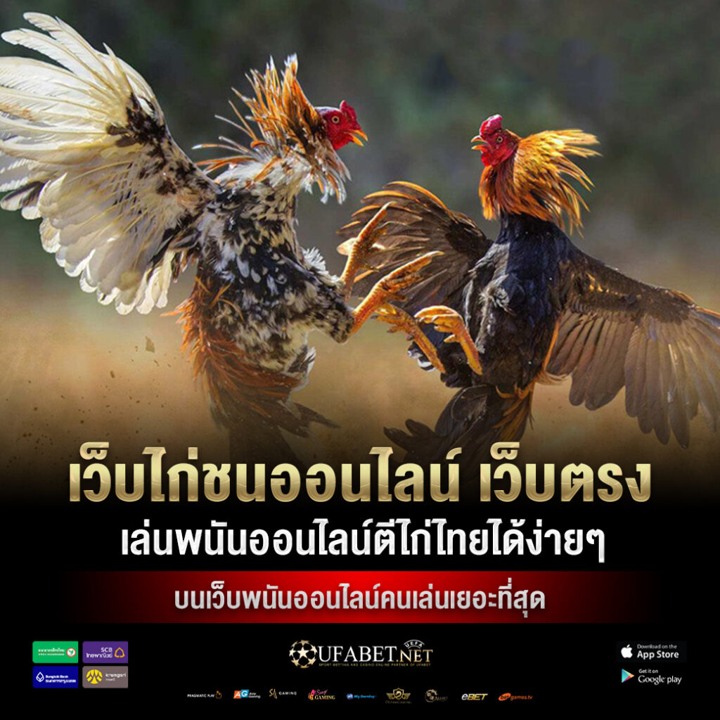แทงไก่ชนออนไลน์
