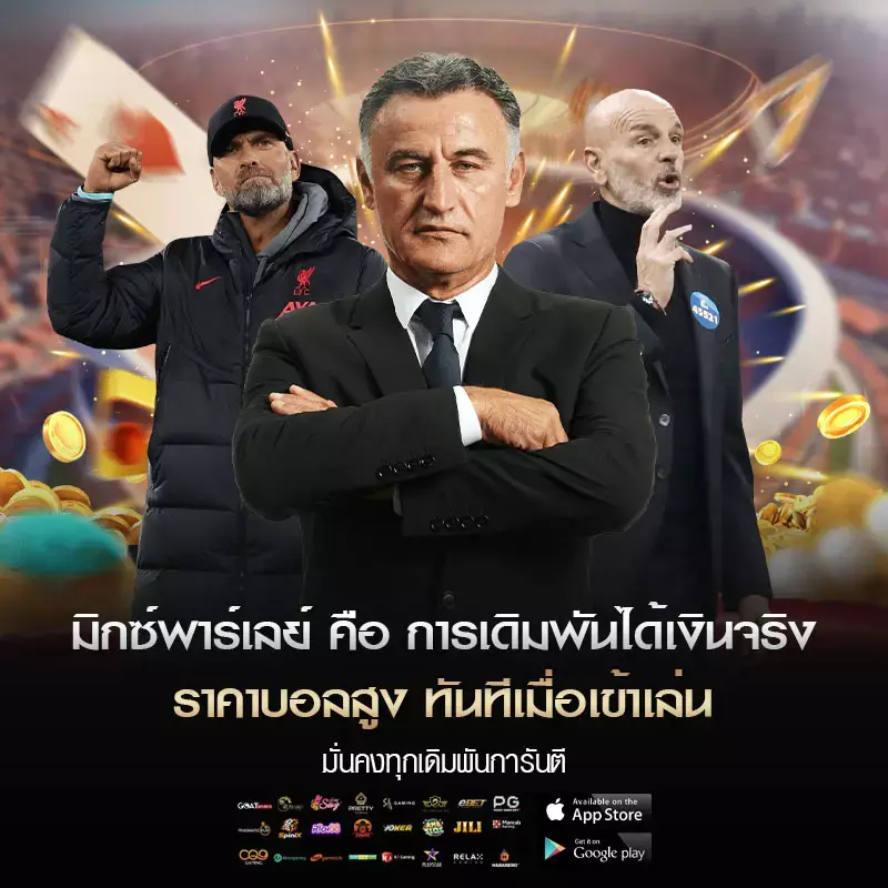 มิกซ์ พาร์เลย์ คือ