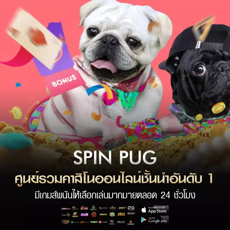 spin pug