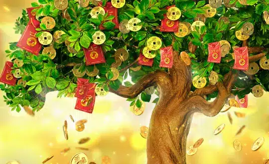 real tree of fortune