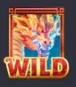 Wild Symbol